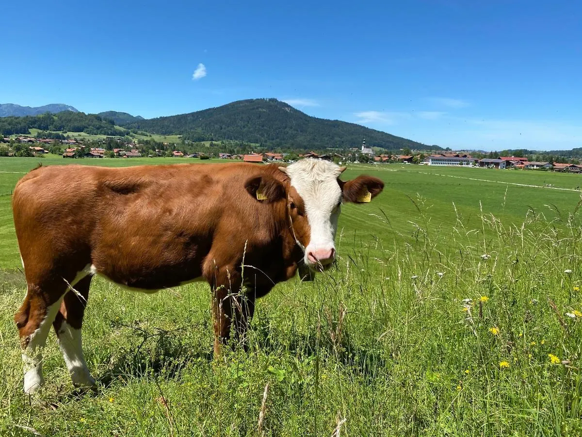 Boar-Hof - Chiemgau Karte 0*, Inzell Γερμανία